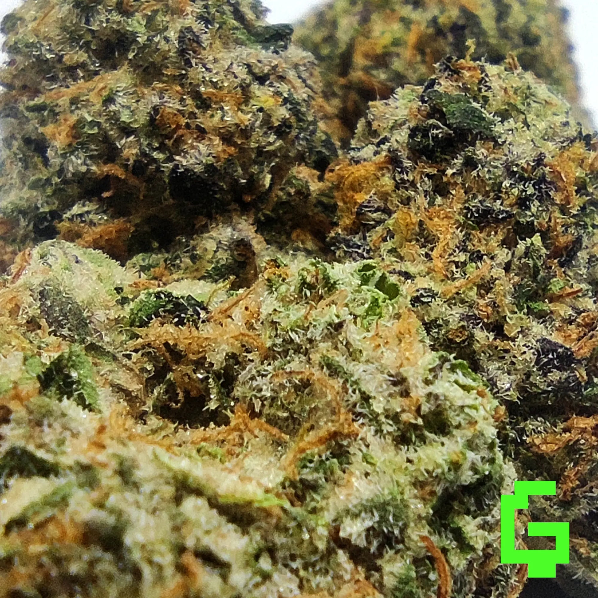 Bubble Zkittlez