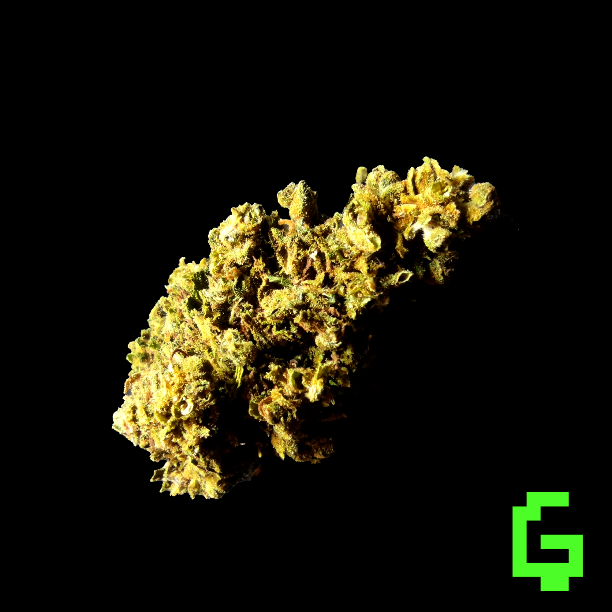 Gorilla Goo
