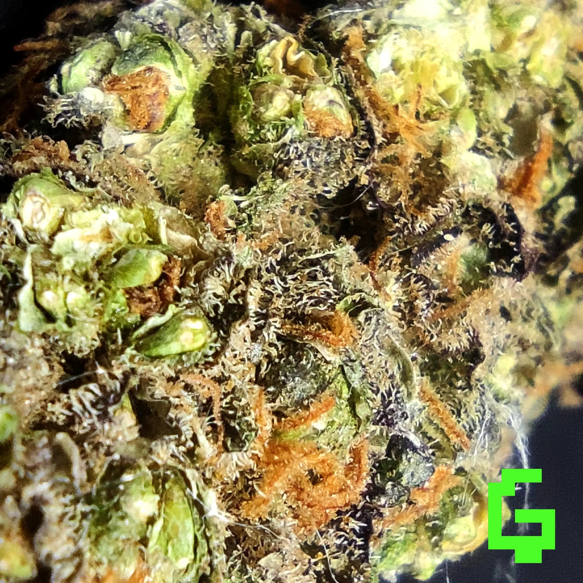 Hulkberry