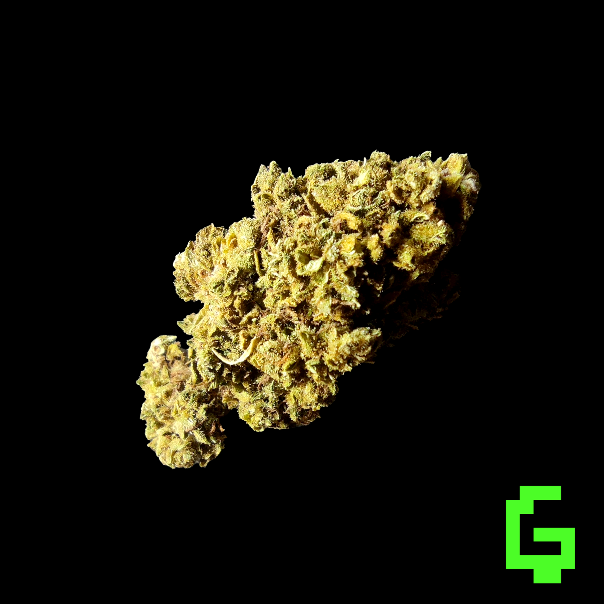 Jack Herer