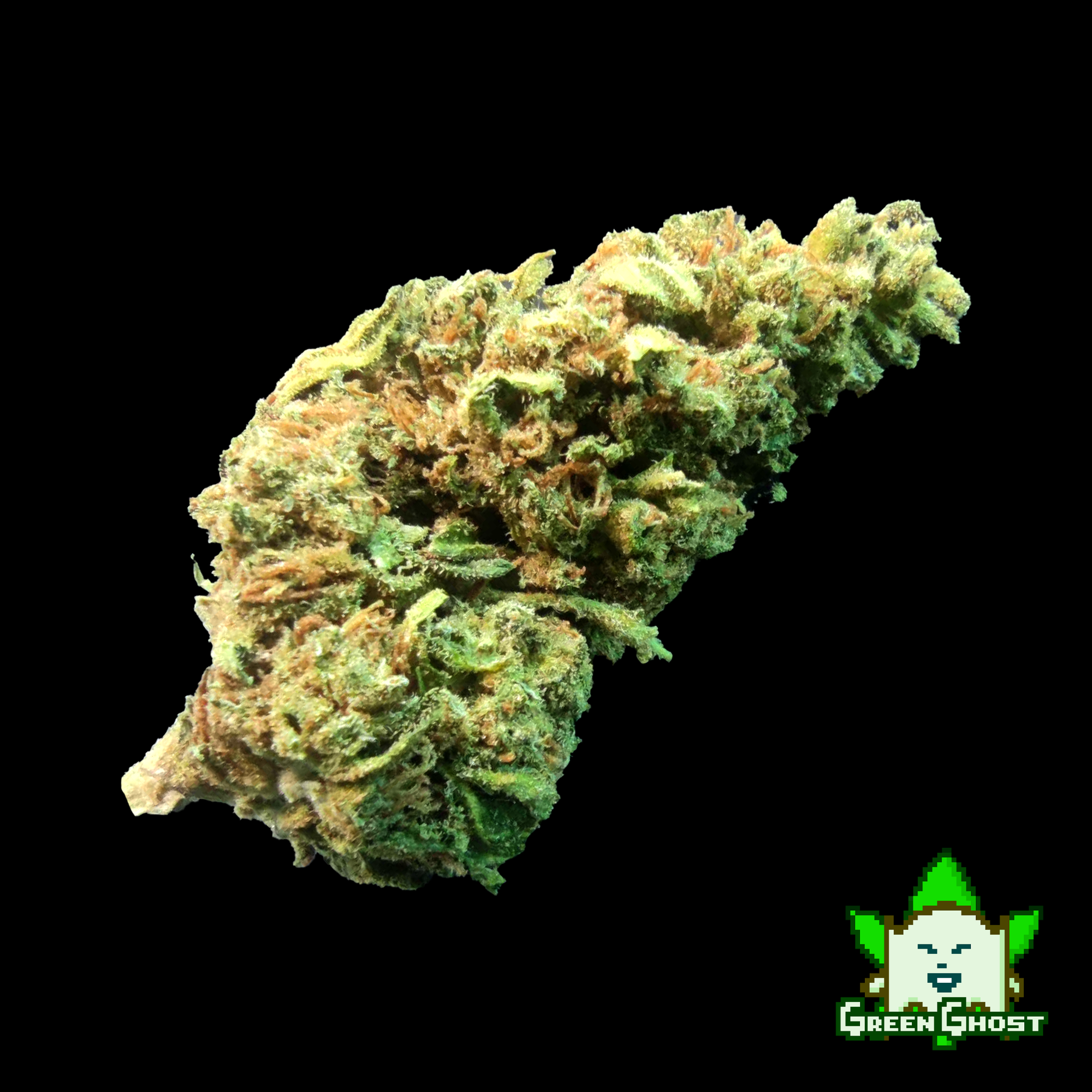 Northern Lights