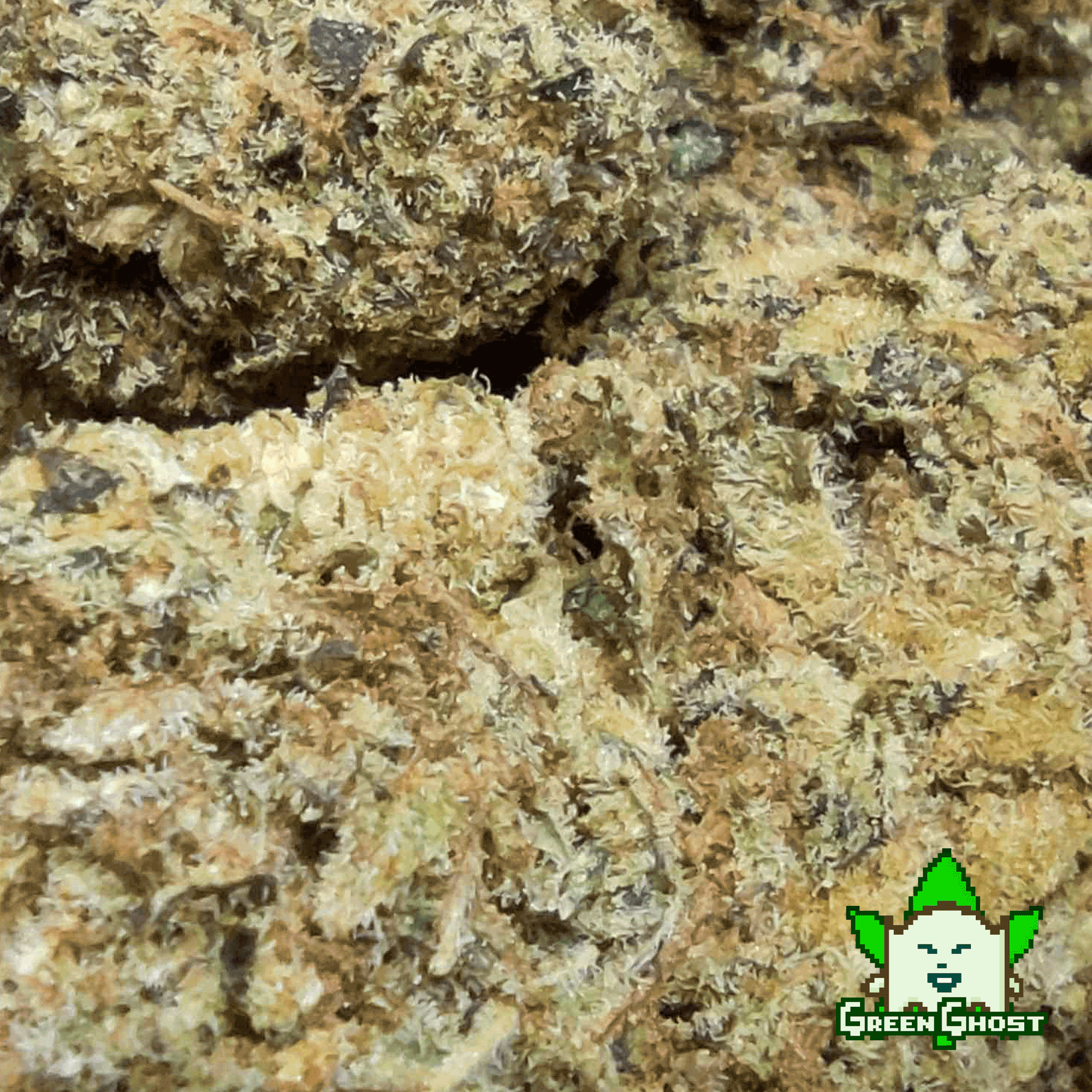 Pink Zkittlez