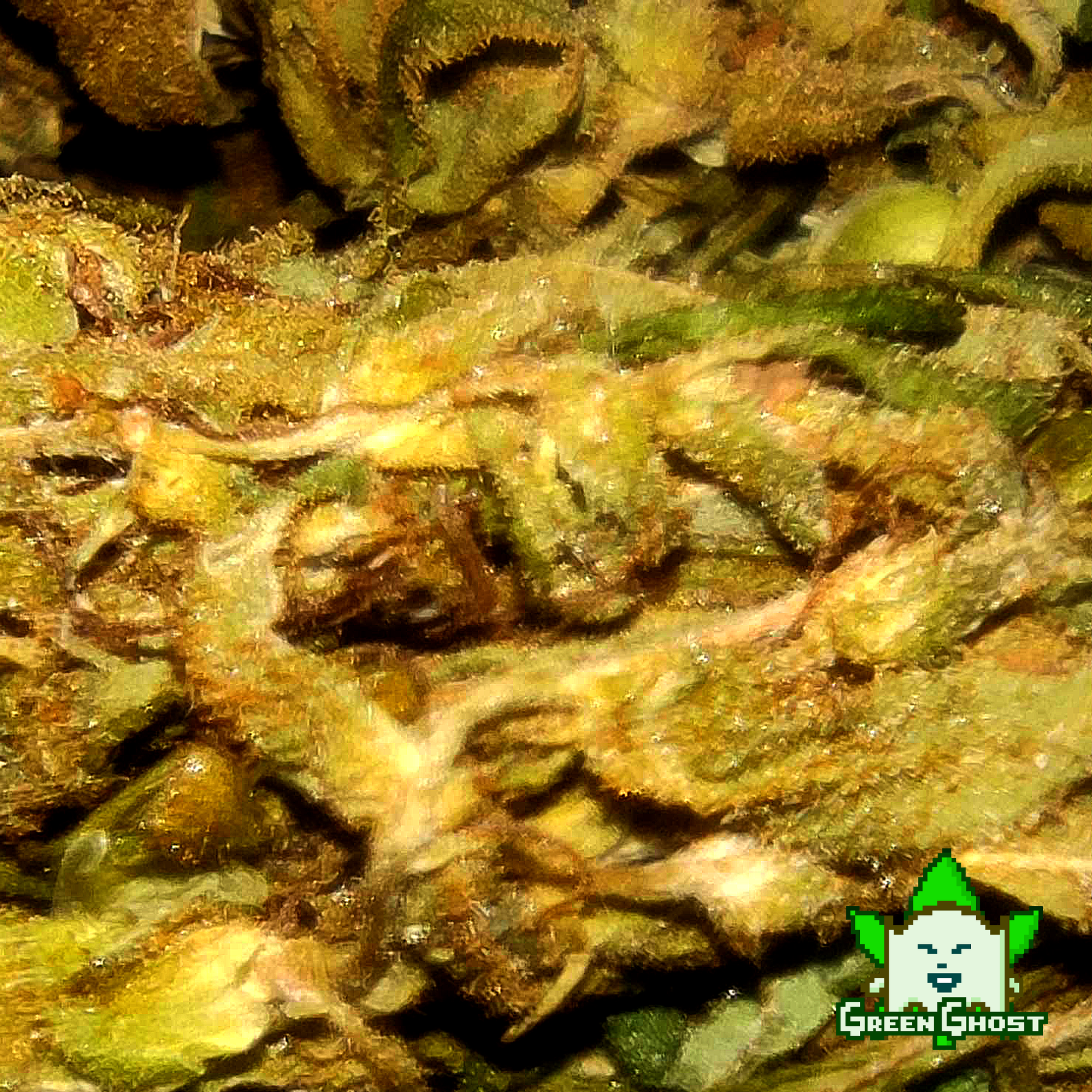 Thai Stick