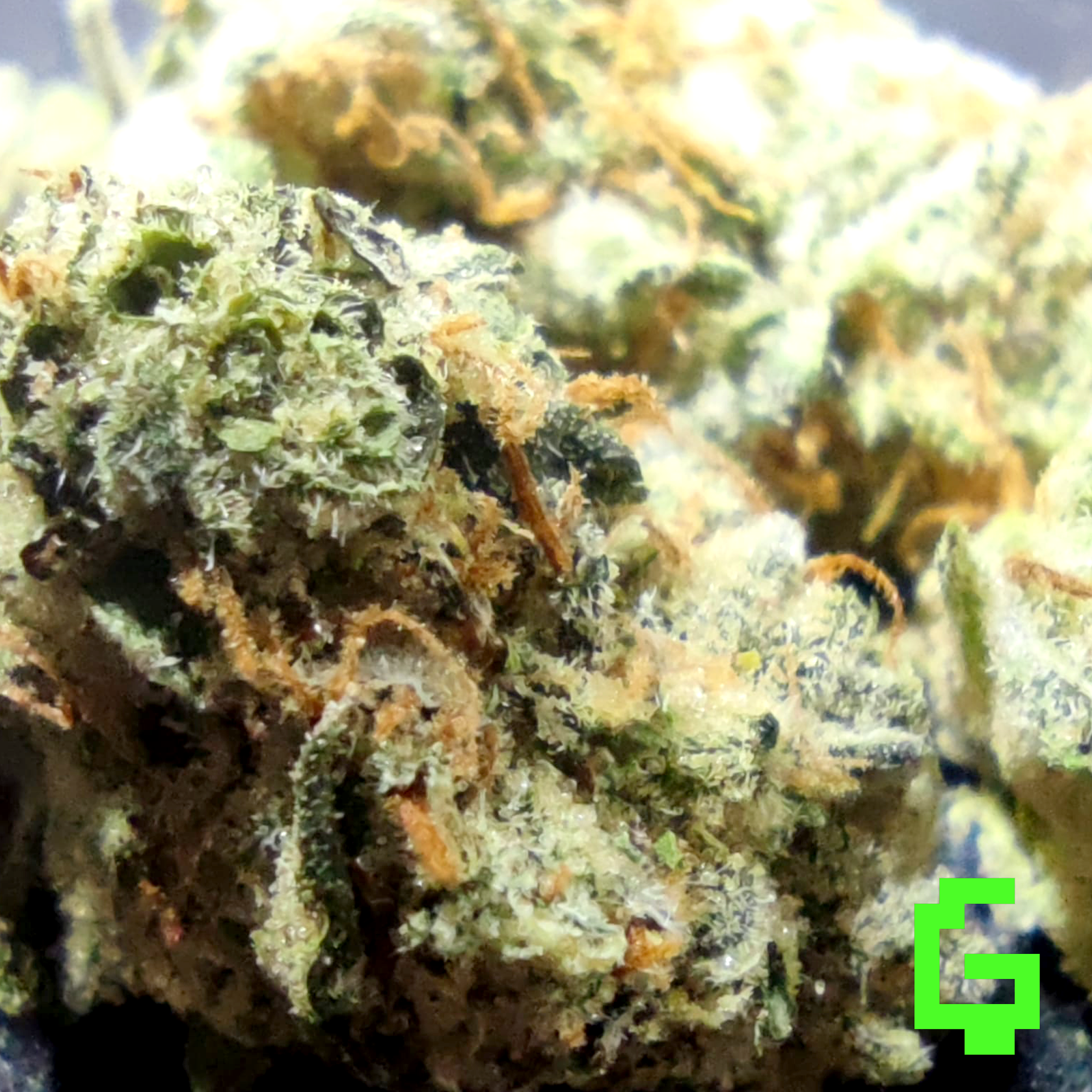 White widow
